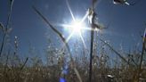 Red Flag Warning goes up for parts of North Bay due to low humidity, high winds, NWS says