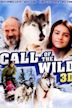 Call of the Wild