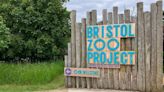 Plans still underway to make Bristol Zoo Project bigger and better