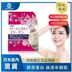 日本 Asahi朝日 低分子膠原蛋白粉 vc+玻尿酸Q10 12種成分膠原蛋白 60日份 正品現貨