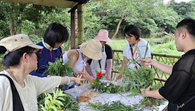 新北原住民食農教育體驗 製作香草花束 (圖)