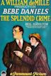 The Splendid Crime