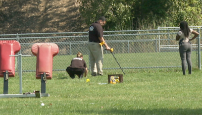 'He has a gun!': Frightening moments as shots ring out during youth football game in Buffalo