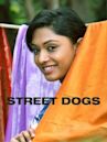 Street Dogs