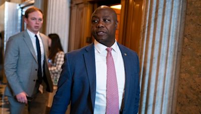 Tim Scott: ‘The View’ hosts ‘attacking me again’ for being only Black GOP senator