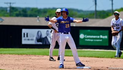 Willard ends Borgia’s baseball season in quarterfinals