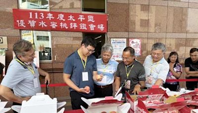 中市太平優質水蜜桃果品評鑑競賽 陸育麟勇奪太平區平地水蜜桃達人