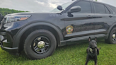 A Westmoreland County police department will reestablish its K-9 unit for the first time in more than 20 years