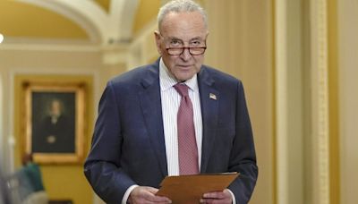 Schumer: Permitting reform deal would be ‘virtually impossible’