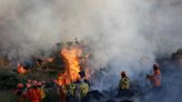 Focos de incêndio na Mata Atlântica do Rio aumentam 440% neste ano