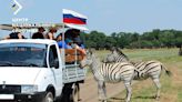 Russia creates illusion of tourism in occupied Askaniia-Nova reserve by conducting staged tours