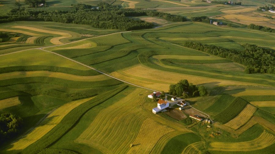 Pesticides as big a cancer risk as smoking, study finds