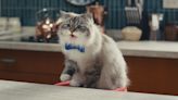 Cat Trainer Behind Viral Super Bowl Ad Shares One Piece of Advice for Taylor Swift