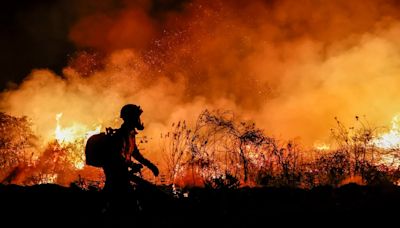 El humo de los incendios forestales aumenta la probabilidad de tener demencia, según un estudio