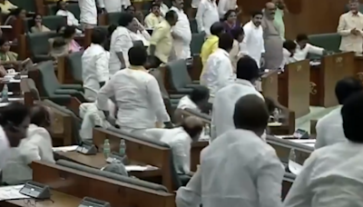 Video: When 80 Per Cent Andhra MLAs Stood Up To This Question From Chandrababu Naidu In Assembly