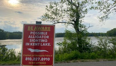Officials warn of possible alligator sighting in lake at Kensington Metropark