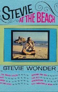 Stevie at the Beach