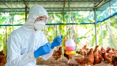 Gripe H5N1: ¿la próxima pandemia?