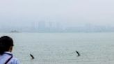 Through heavy rain and fog, tourists tried to get a clear look of the Chinese city of Xiamen