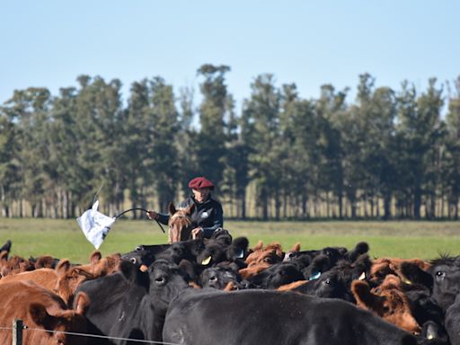 Programa Angus forjará a los próximos líderes de la cadena