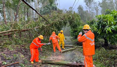 凱米颱風侵台 台電台南區處馬不停蹄移除樹木修復設備中 | 蕃新聞