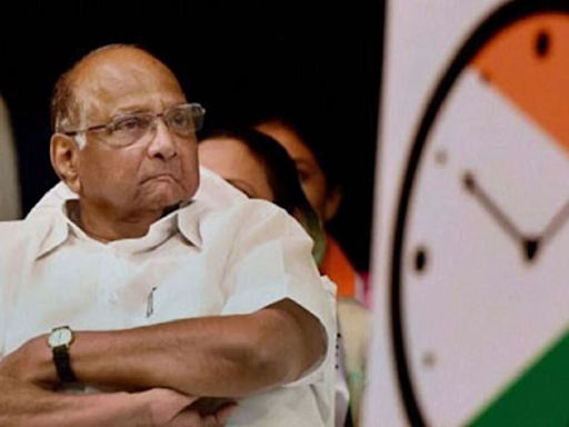 Maharashtra State Assembly Elections: NCP Sharad Pawar Faction Begins Preparations