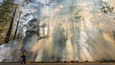 Study links wildfire smoke to increased dementia risk | World News - The Indian Express