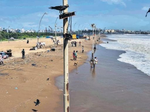 How Juhu, Versova beaches were cleaned up over six years