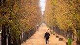 Nublado y con “calorcito” por la tarde: así estará el tiempo este jueves en Mendoza | Sociedad