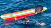 母海獺出沒加州海域接近人類搶衝浪板 專家警告：看起來可愛實則有危險