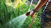 Don't miss Amazon's huge Labor Day sale on garden hoses — now up to 44% off