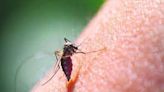 Dengue can seriously affect your brain, nervous system: Doctors