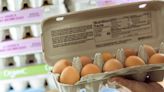 Why are eggs so expensive right now?