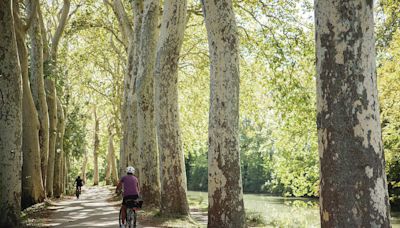 Biking 150-mile path along French canal takes cyclists down road of rich history | Honolulu Star-Advertiser