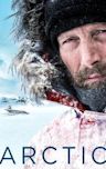 Arctic (film)