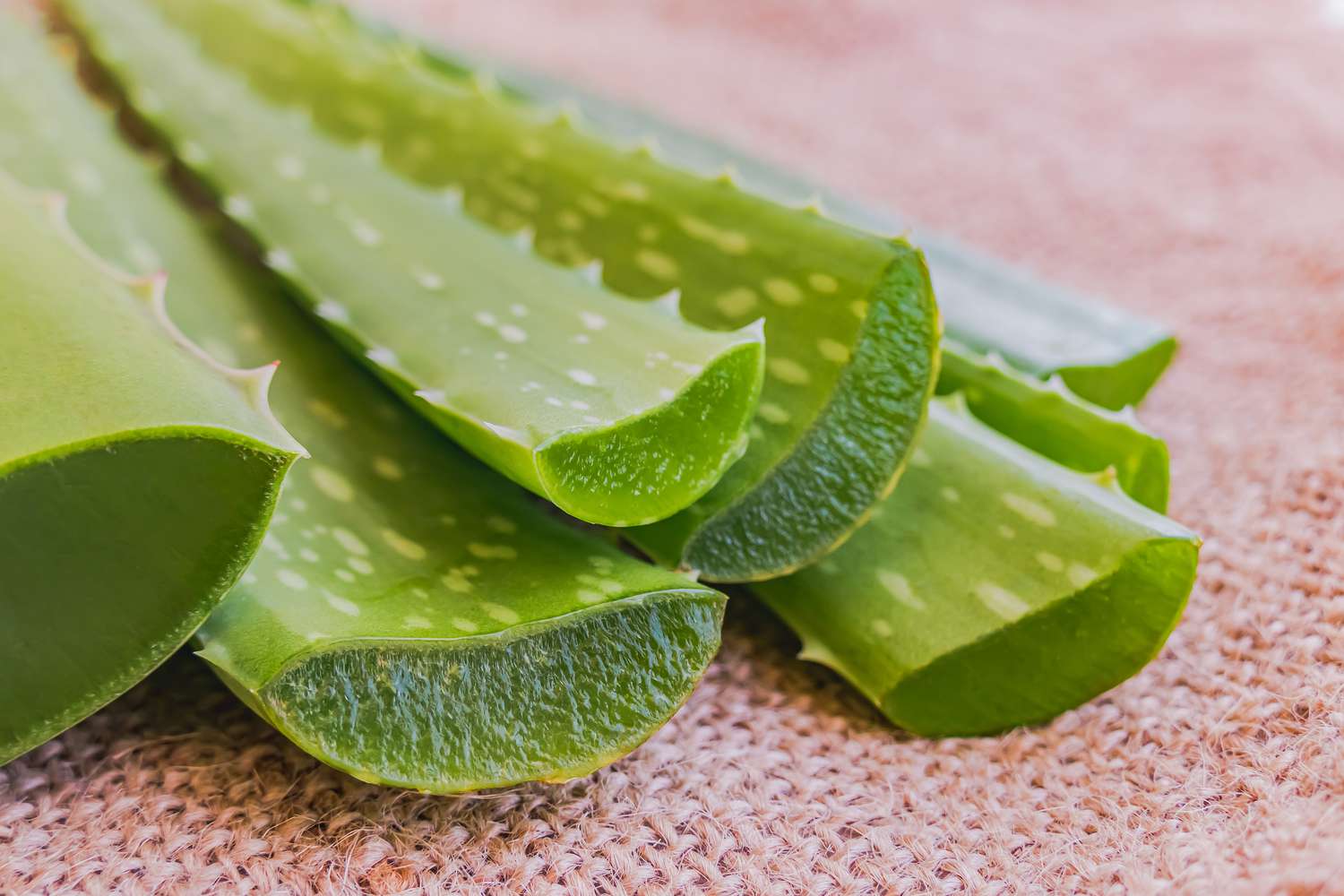 Is Aloe Vera Good for Your Face? Here’s What Experts Have to Say