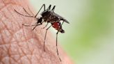 California Dreaming: Los Angeles leads Nation in Mosquito Complaints according to Orkin's 2024 Top Mosquito Cities List
