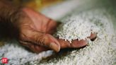 India mulls easing rice export limits in boon to world buyers