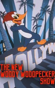 The New Woody Woodpecker Show