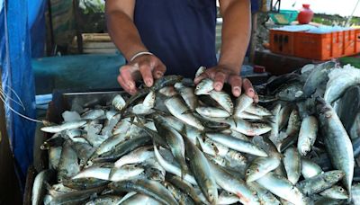 Prices of fish and veggies soar in Kerala, consumers grumble