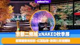 日本旅遊｜京都二條城 x NAKED秋季夜間光雕藝術展！超華麗藝術投影、紅葉點燈、數碼化茶道體驗