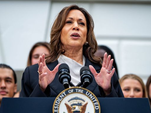 What people mean when they call Kamala Harris a ‘DEI candidate’