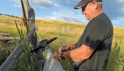 First human West Nile case confirmed in Cache County; officials encourage prevention