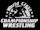 World Class Championship Wrestling