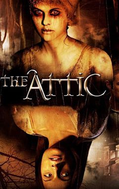 The Attic