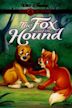 The Fox and the Hound