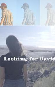 Looking for David