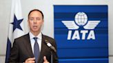 Una política de 'cielos abiertos' podría llevar a Argentina a ser Australia, según experto de IATA