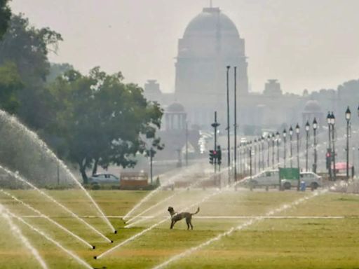 Brutal heat scorches northwest India, Najafgarh in Delhi warmest in country at 47.4 degrees Celsius - ET HealthWorld
