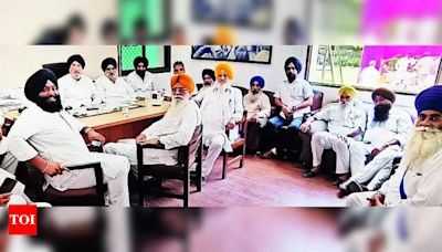 Gurpartap Singh Wadala named SAD Reform Movement convener | India News - Times of India